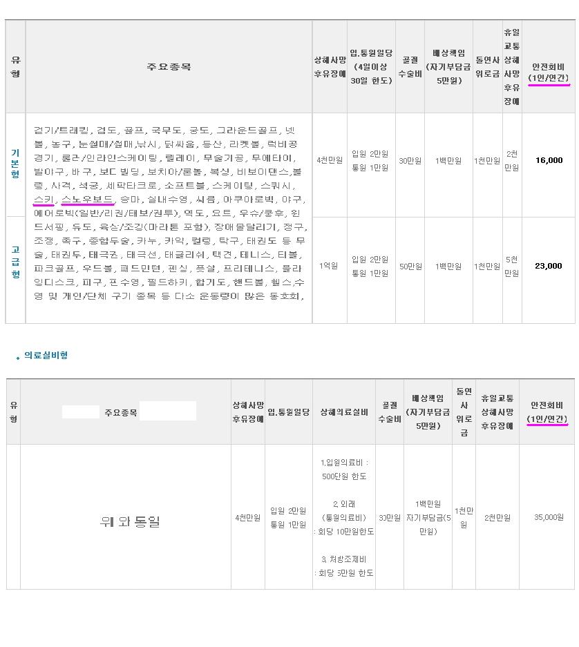 레저보험1.JPG