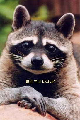 사본 -11.jpg
