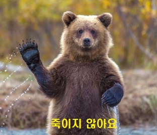 곰.JPG