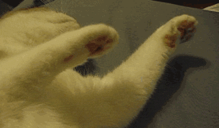 2014121753.gif