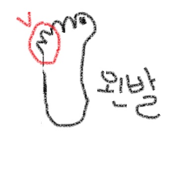 왼발.jpg