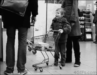 3745426542_a30abd09_viewimage.gif