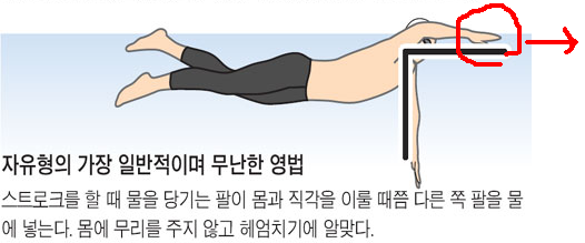 제목 없음.jpg