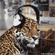 cmm-edit-lena.gif