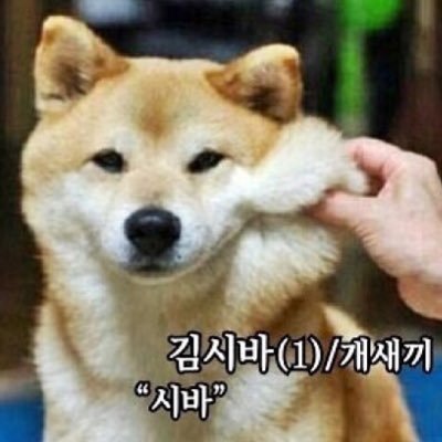 시바.jpg