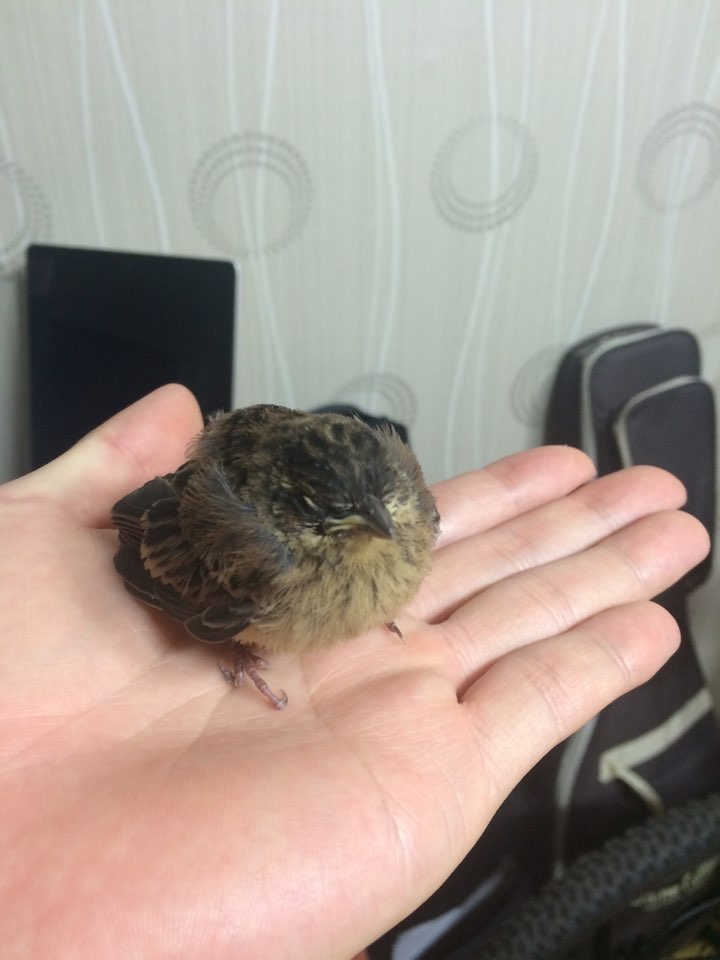KakaoTalk_20150706_213001992.jpg