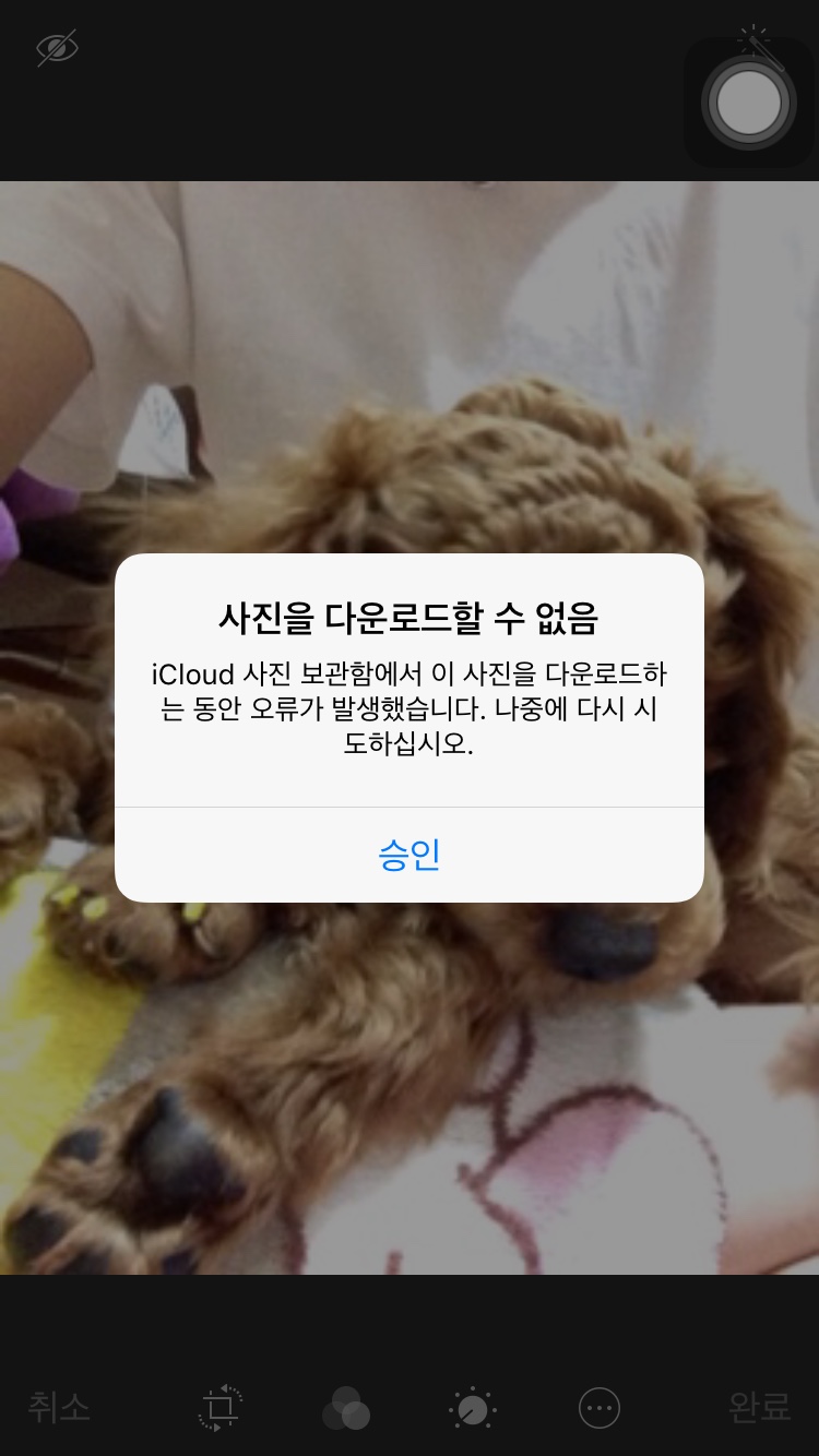 KakaoTalk_20151202_170548779.jpg