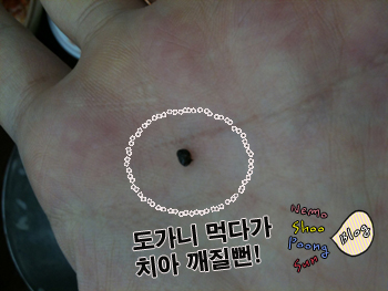 크기변환_IMG_1917.jpg