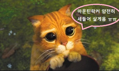 슈렉고양이-락커구걸.jpg