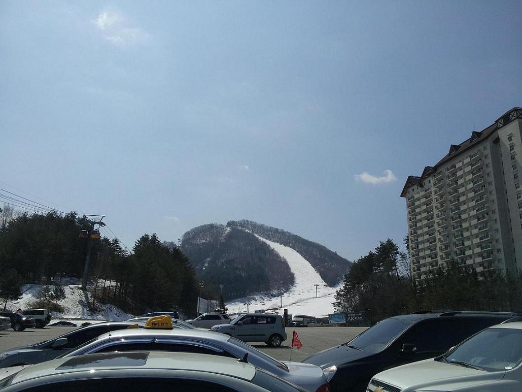20130331_120214.jpg