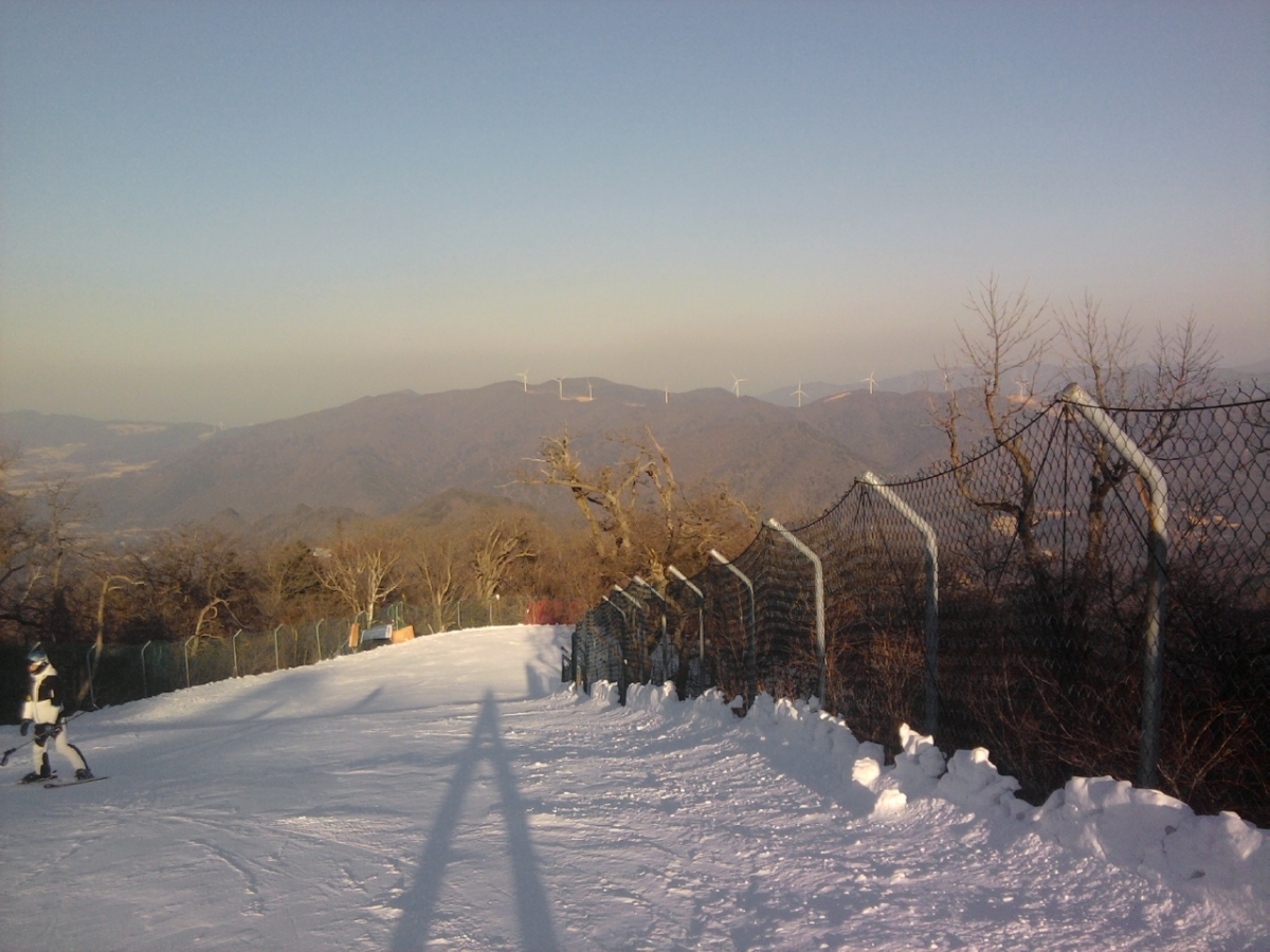P190201005.jpg