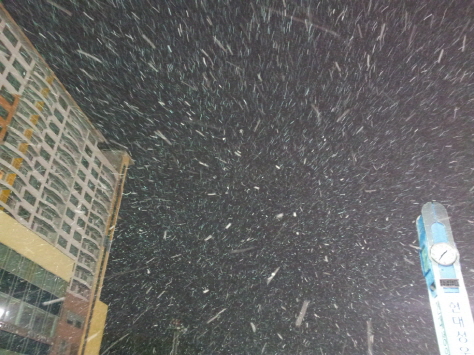 2012-01-20 01.36.29.jpg