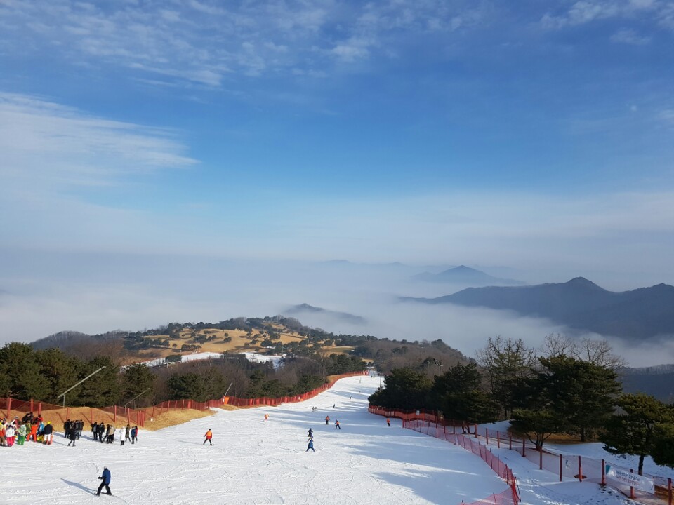 KakaoTalk_20161221_101913889.jpg