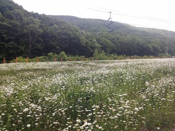 크기변환_20150618_133903_HDR.jpg