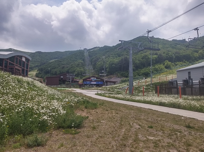 크기변환_20150618_134721_HDR.jpg