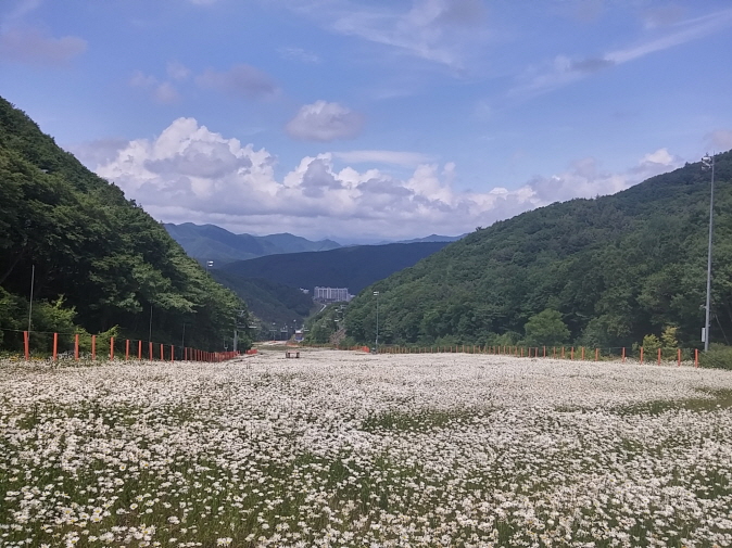 크기변환_20150618_135022_HDR.jpg
