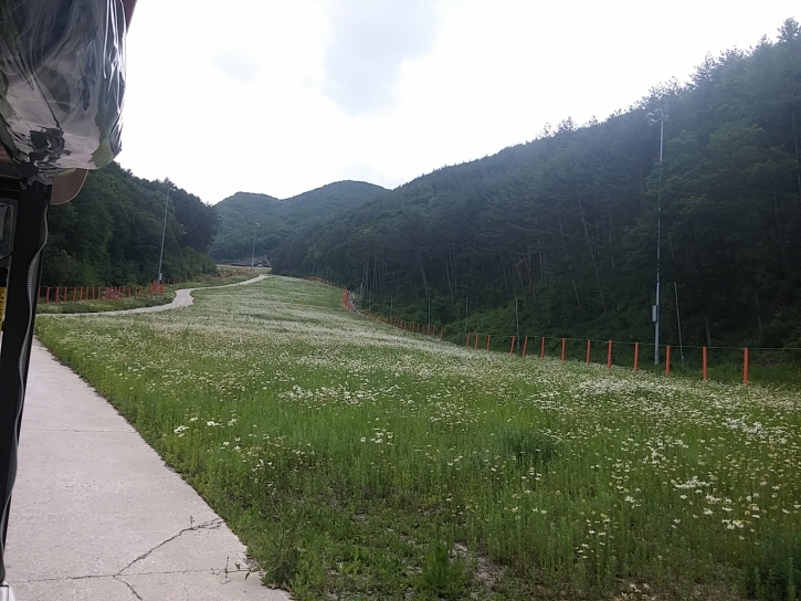 크기변환_20150618_133457_HDR.jpg