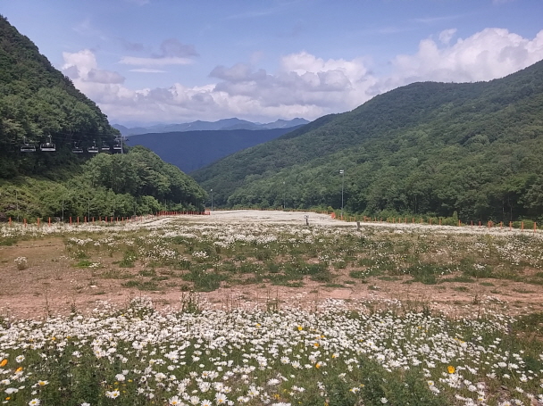 크기변환_20150618_134259_HDR.jpg