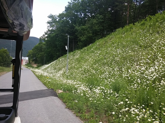 크기변환_20150618_132955_HDR.jpg