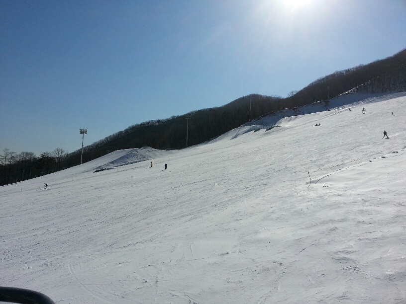 20130125_122941_resized.jpg