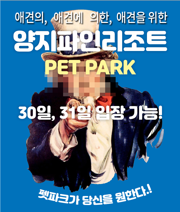 보드장소식 - 양지파인리조트 펫파크 오픈했네요~!