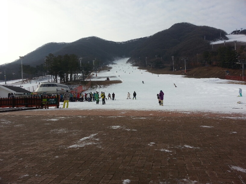 20121202_093240_resized.jpg
