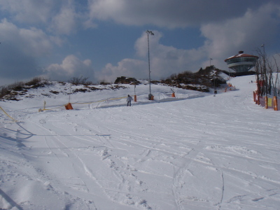 201103220011.jpg