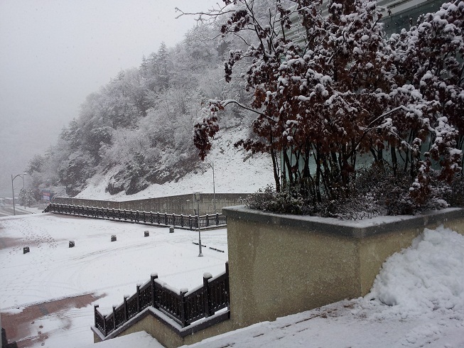 2011-11-30 14.53.19.jpg