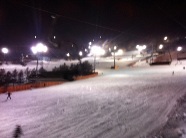 101230_orange.jpg