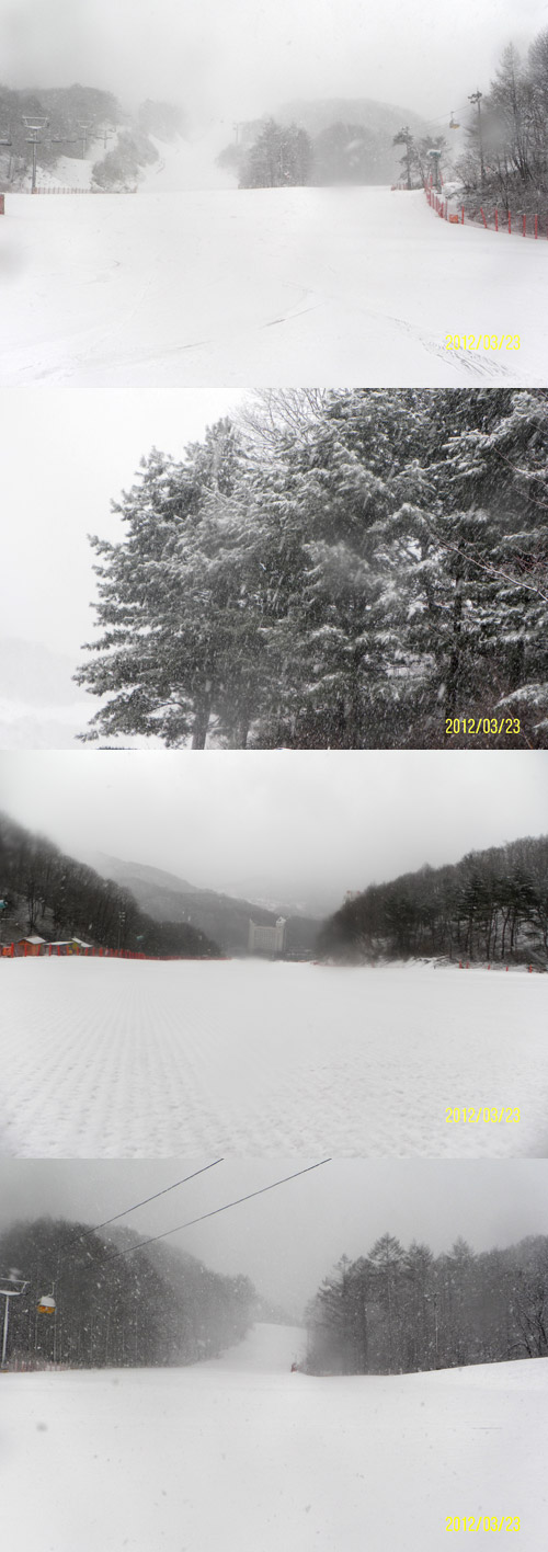 0323_폭설.jpg