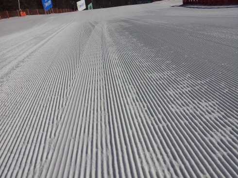 qw_20150312_092611.jpg