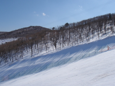 201103230003.jpg