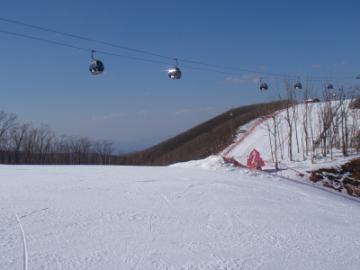 201103230005.jpg