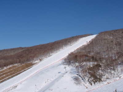 201103230006.jpg