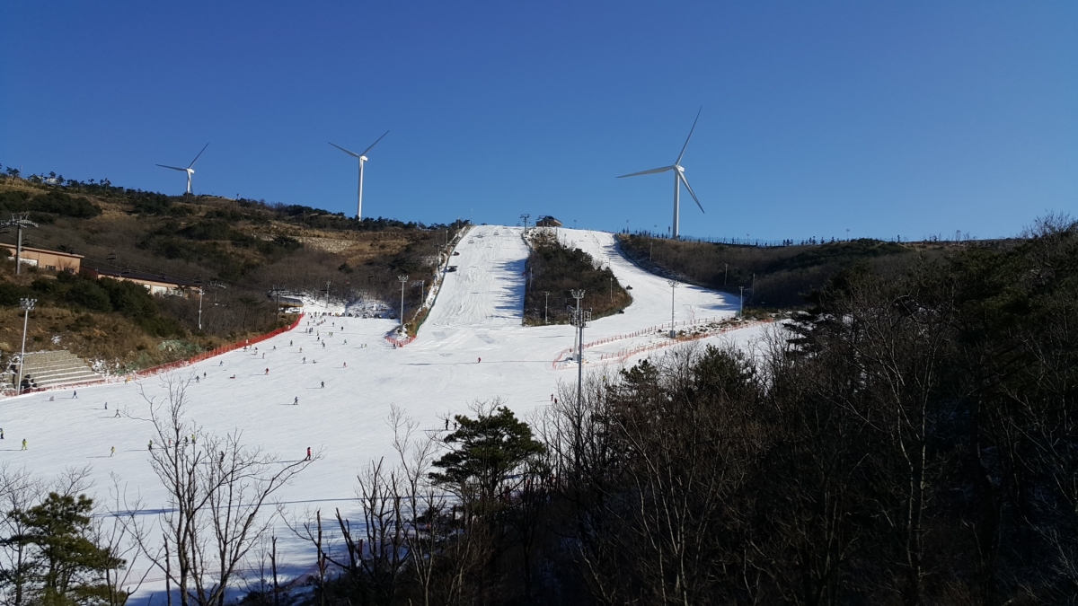 20170125_145659.jpg