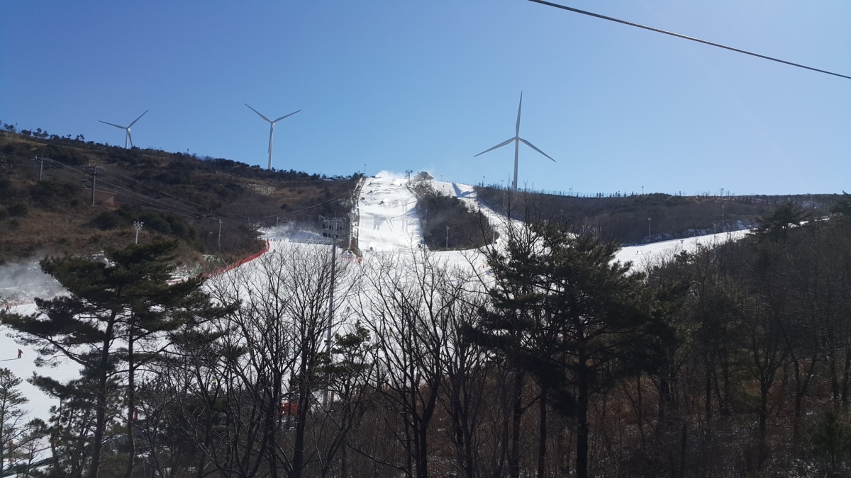 20170125_120349.jpg