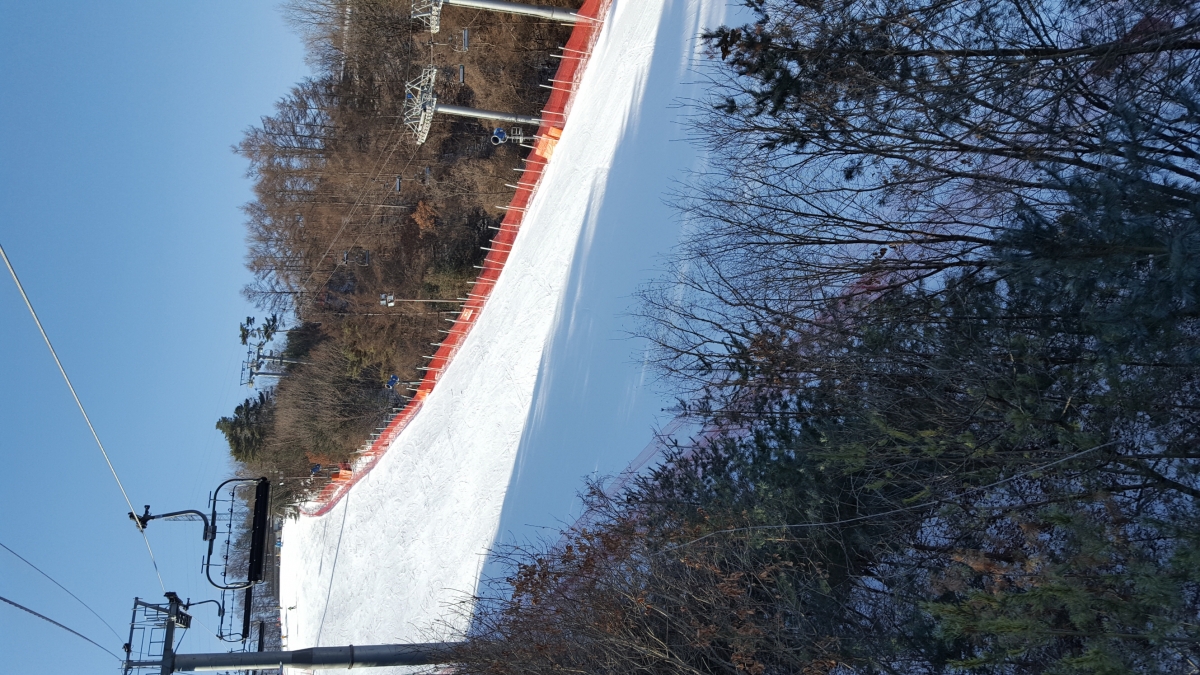 20161229_110705.jpg