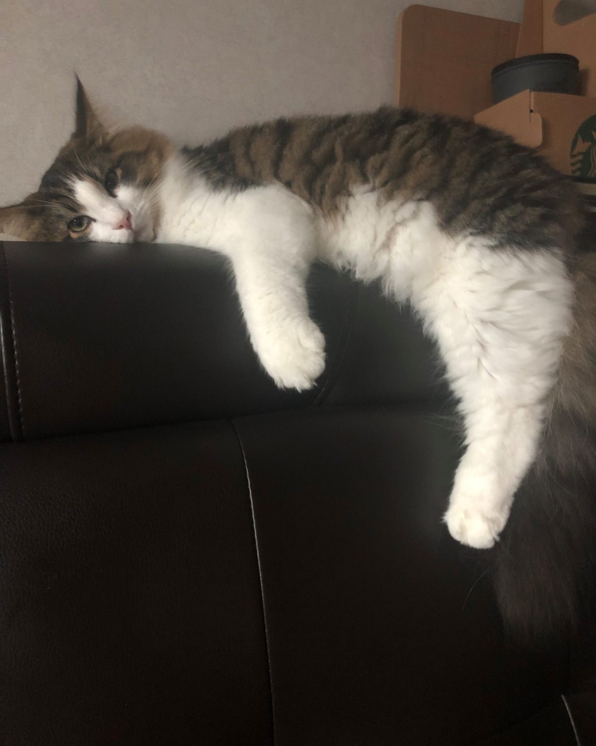 KakaoTalk_20200212_184430376 - 복사본.jpg