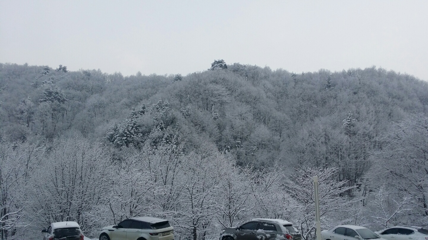 KakaoTalk_20150122_085657951.jpg