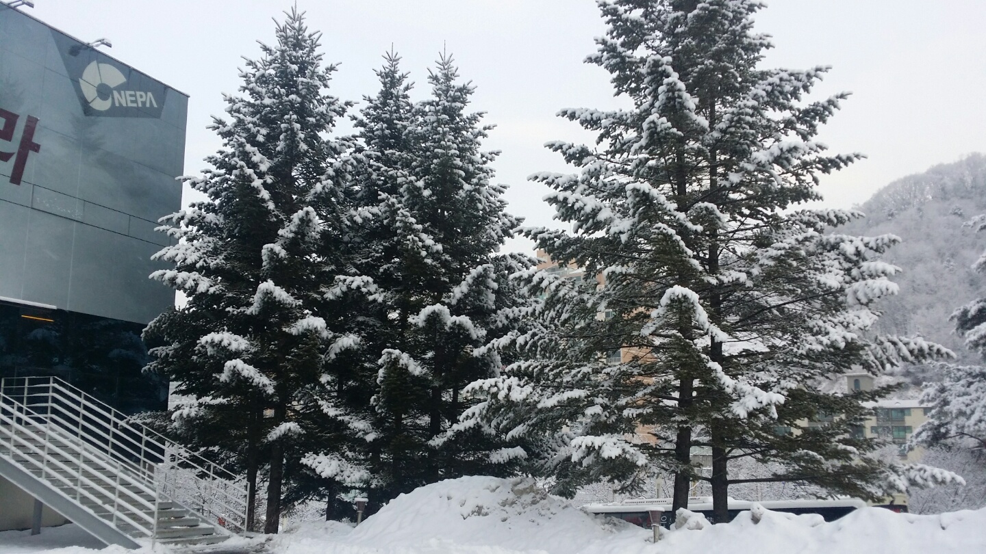 KakaoTalk_20150122_085657578.jpg