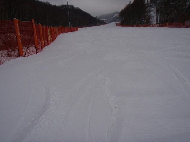 P3200029.jpg