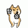 탑승ㅋ.gif