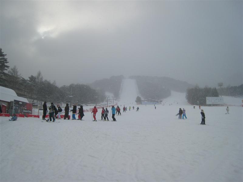 IMG_7305 (Medium).JPG