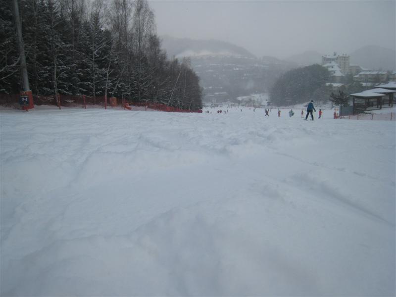 IMG_7313 (Medium).JPG