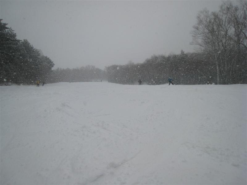 IMG_7317 (Medium).JPG