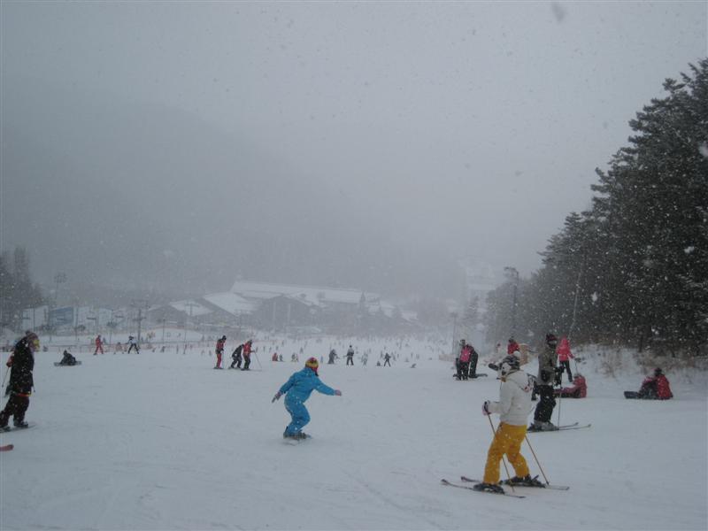 IMG_7338 (Medium).JPG