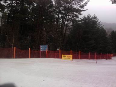 Resize of P190321009.jpg