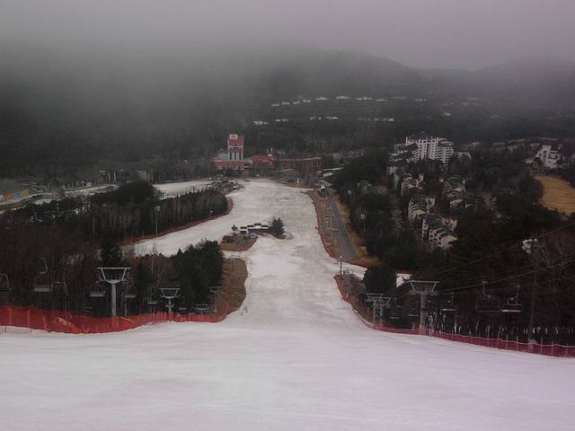 Resize of P190321011.jpg