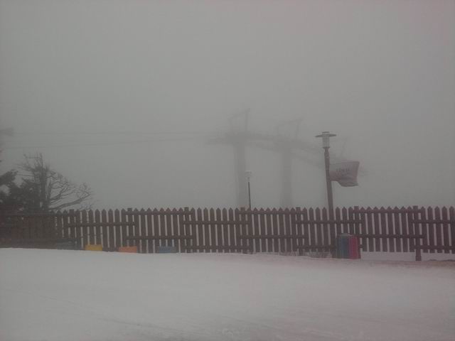 Resize of P190321013.jpg