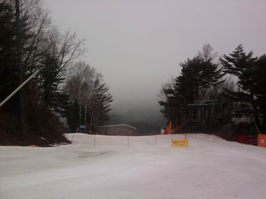 Resize of P190321007.jpg